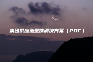 集团供应链整体解决方案（PDF）