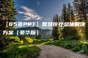 【65页PPT】智慧医疗总体解决方案（豪华版）